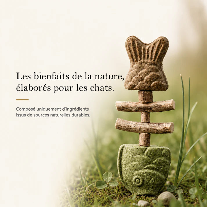 Jouet à mâcher dentaire pour chat en forme d'arête de poisson 🌼💖