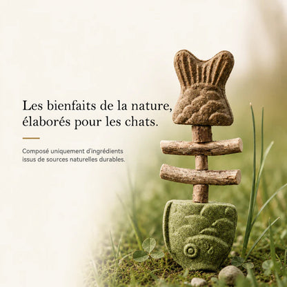 Jouet à mâcher dentaire pour chat en forme d'arête de poisson 🌼💖