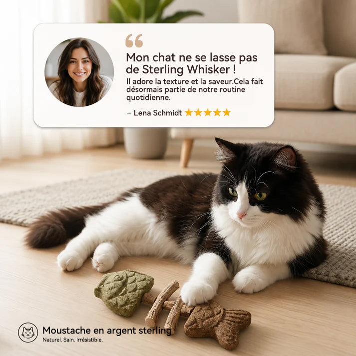 Jouet à mâcher dentaire pour chat en forme d'arête de poisson 🌼💖