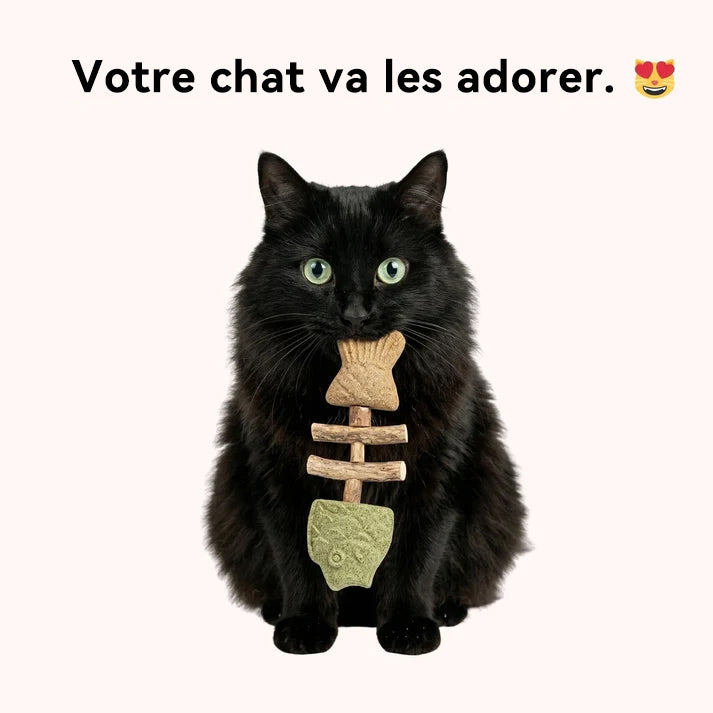 Jouet à mâcher dentaire pour chat en forme d'arête de poisson 🌼💖